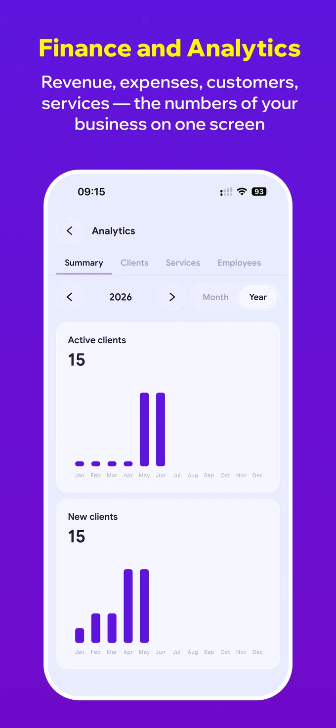 Salon financial analytics in the Easy BeeZy app